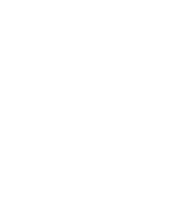 footer-left-icon1-1