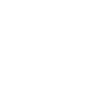 bnr-dash-arrow